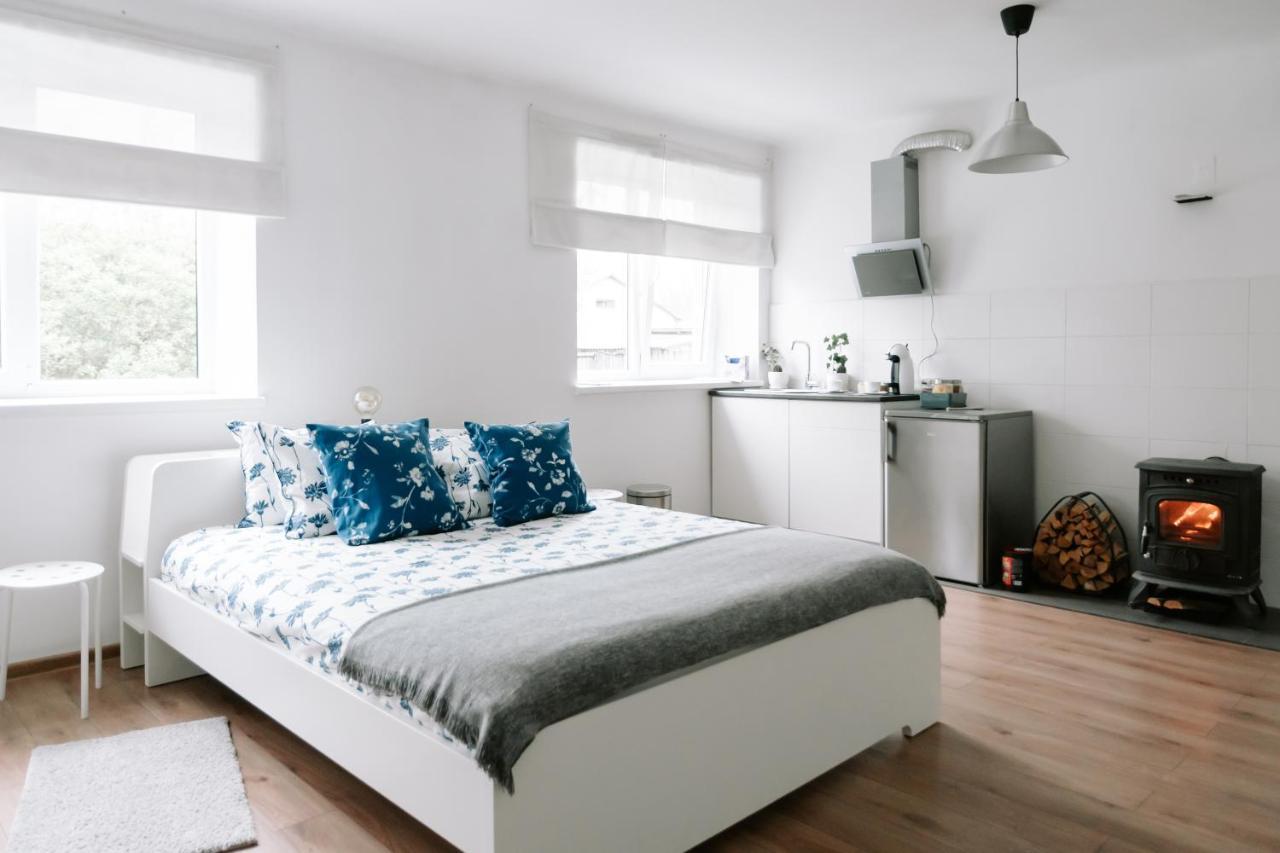 Lake Aluksne Studio Apartment Dış mekan fotoğraf