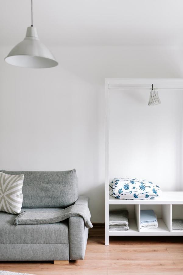 Lake Aluksne Studio Apartment Dış mekan fotoğraf