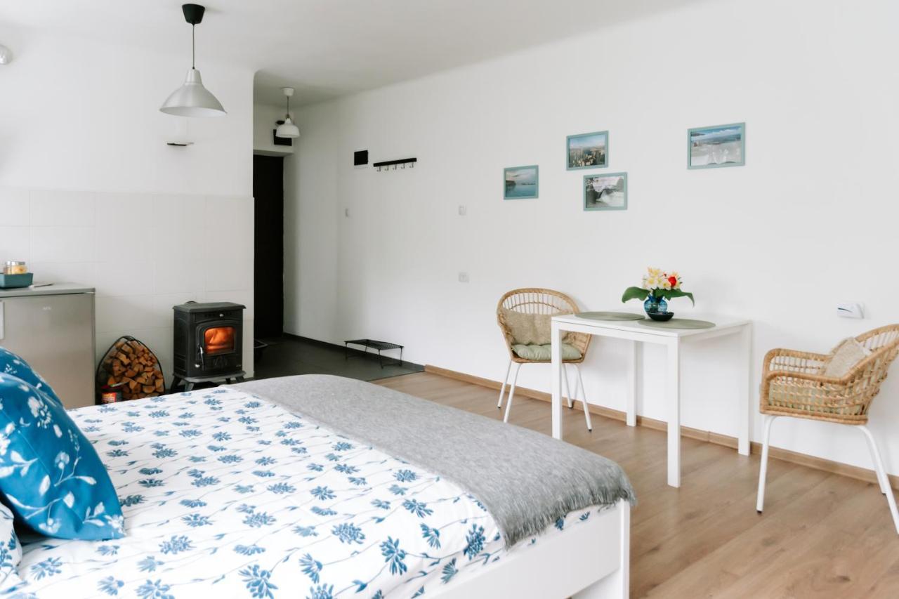 Lake Aluksne Studio Apartment Dış mekan fotoğraf